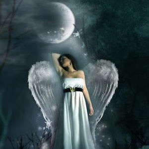 Meet your Posher, Kerry